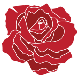 Shoshone Rose
