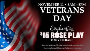 A poster with the words " veterans day " on it.